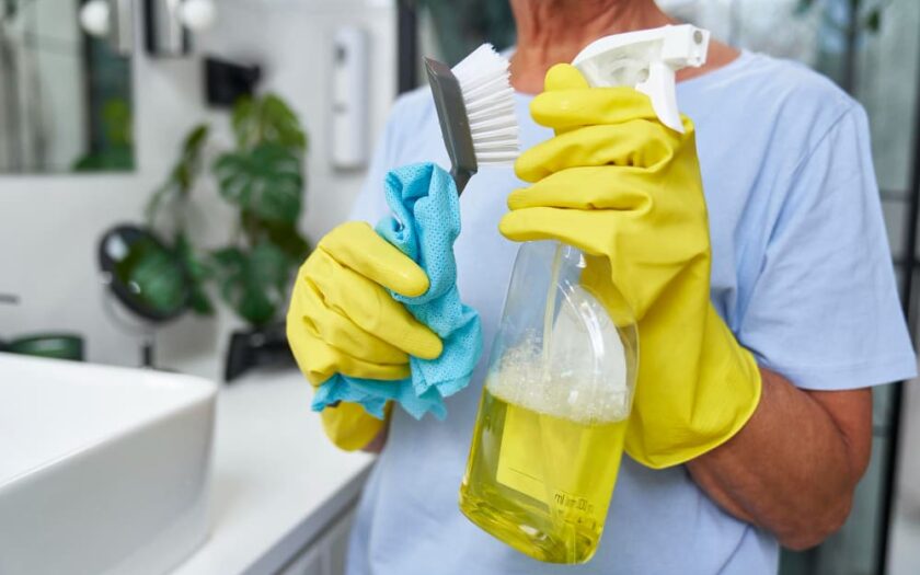 Limpeza pré mudança profissional